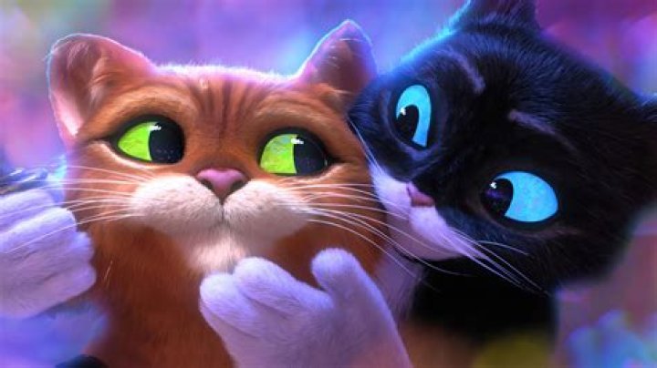 2011 animated movie with Salma Hayek as the voice of Kitty Softpaws: 3 wds.