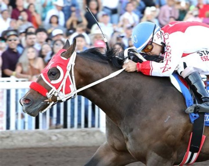 2018 Triple Crown winner who became the only such racehorse to be undefeated in his whole career