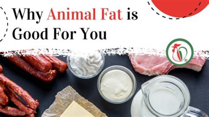 A fat ___ of good that did!