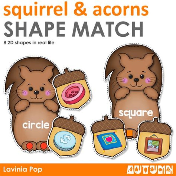 Acorn's shape approximately