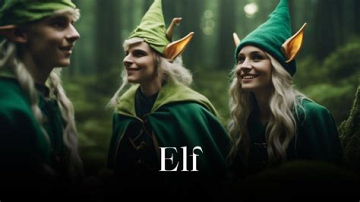 Actor Ed of Elf