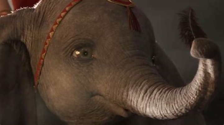 Actress Green of Dumbo