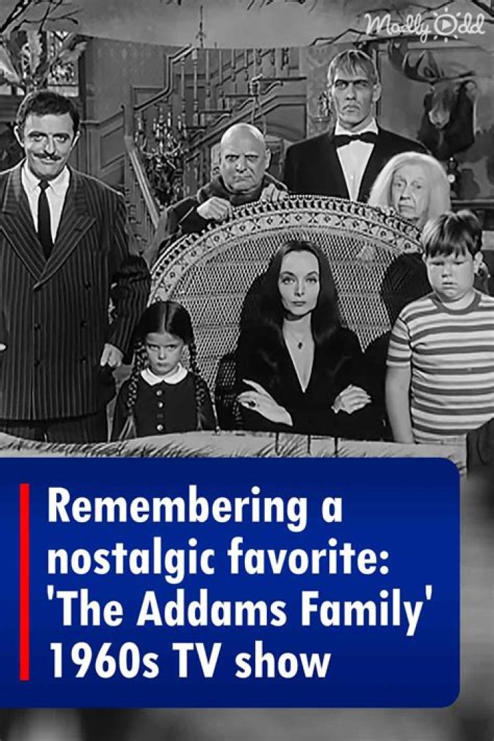 ___ Addams Family (1960s TV series or a 2019 movie)