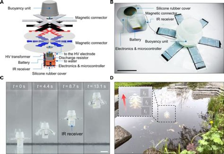 Agency that collects annual returns: Abbr.
