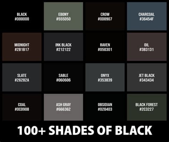 Aircraft or a shade of black