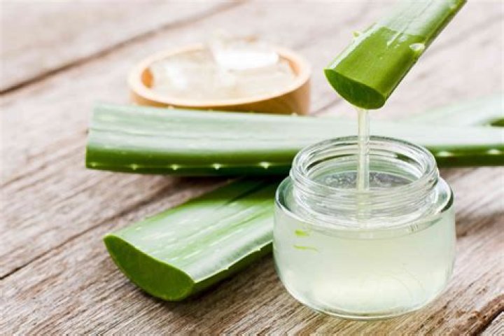 Aloe ___ (natural ingredient in moisturizers)
