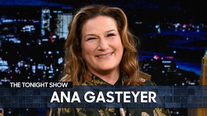 American ___ (2021-2023 Ana Gasteyer show)
