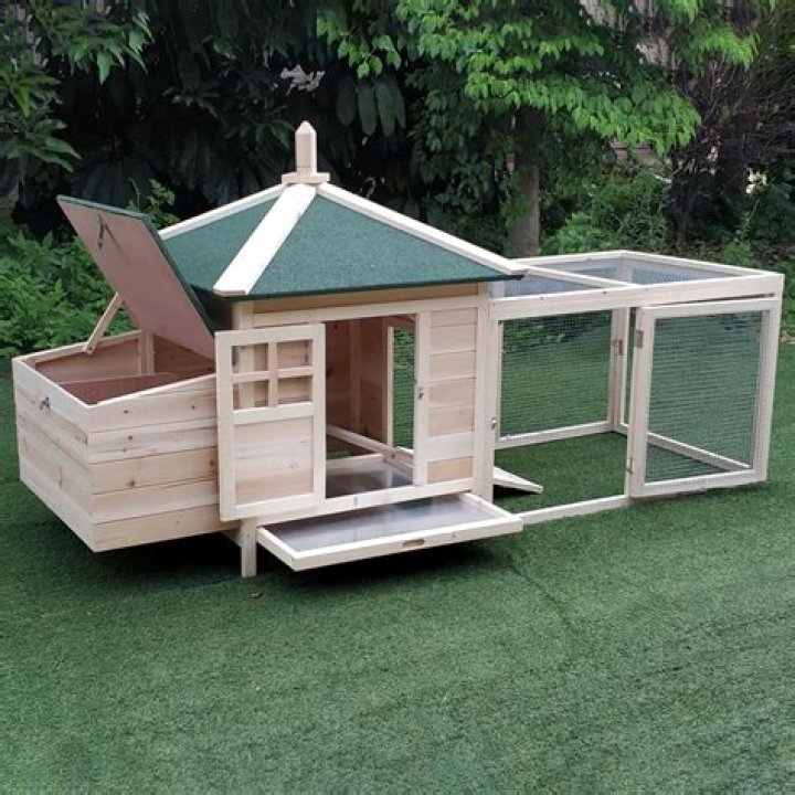 Animal ___ (house pet)