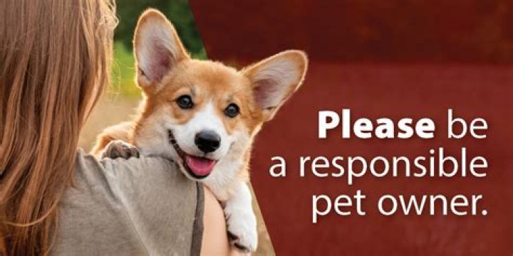Animal that an owner is responsible for