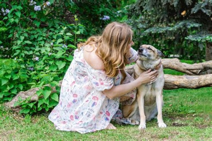 Animal that mates with a ram