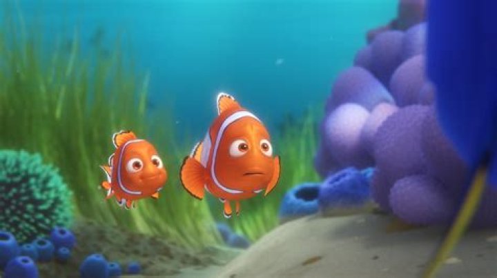Animated clownfish with a lucky fin