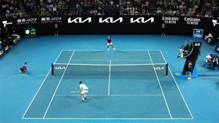 Arbiter in a sports match for short