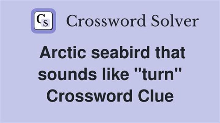 Arctic seabird that sounds like turn