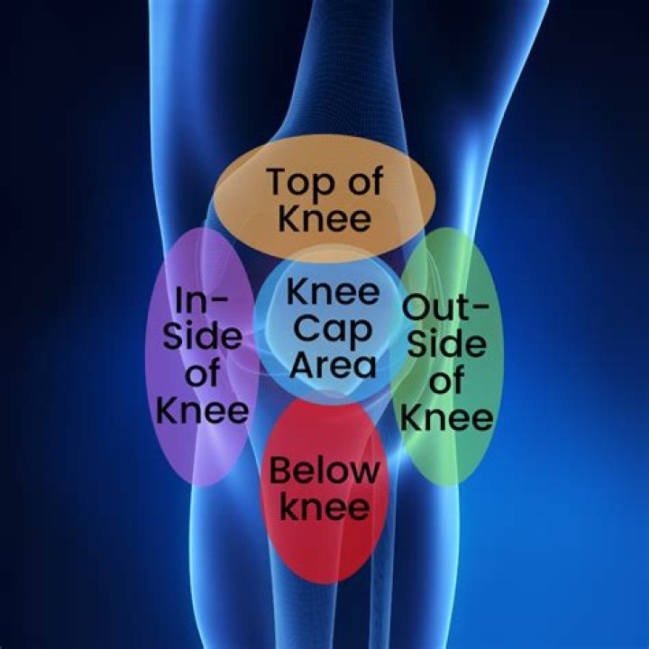Area below the knee