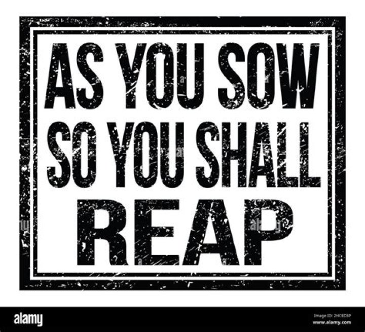 As you sow so you ___