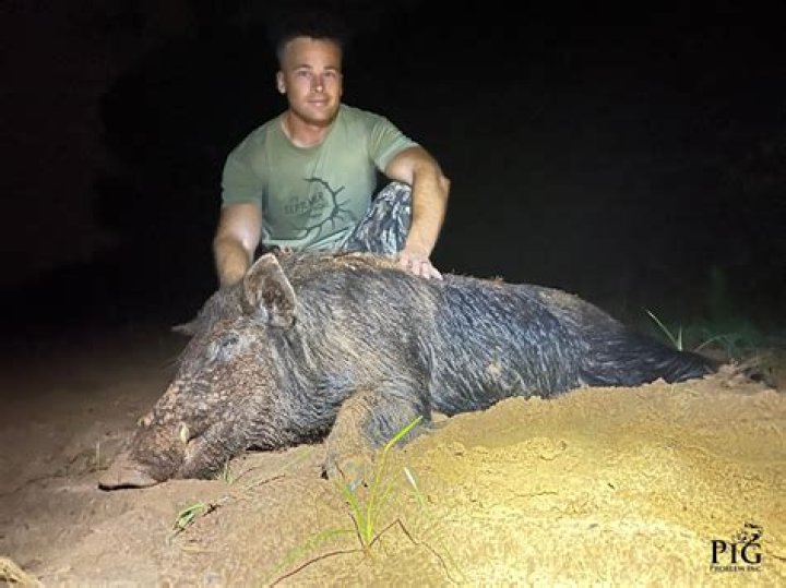 Attention hog's problem