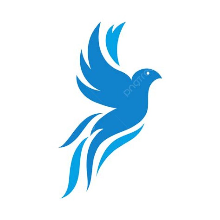 Avian symbol of peace
