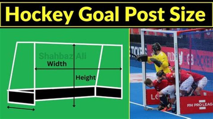 Back parts of hockey goals