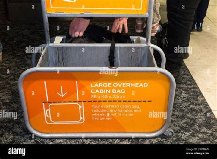 Bag-checking squad at airports: Abbr.