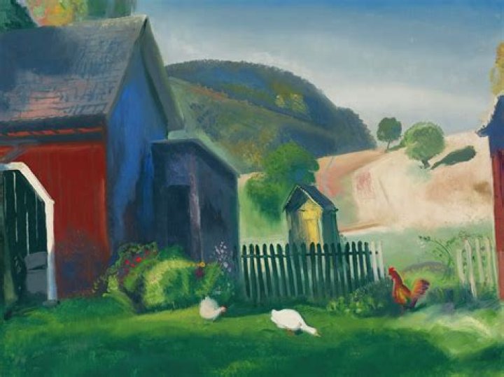 Barnyard birds that cluck