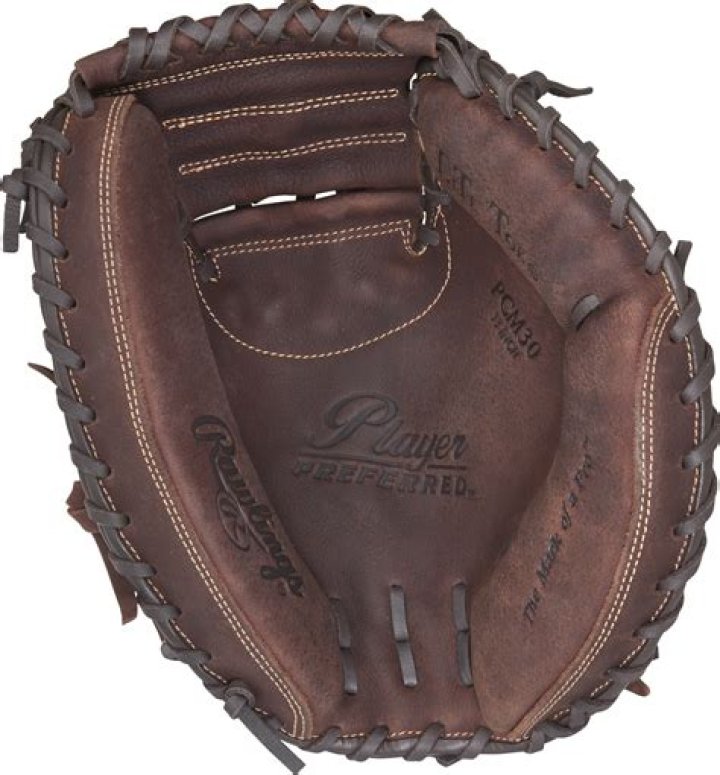 Baseball catcher's glove