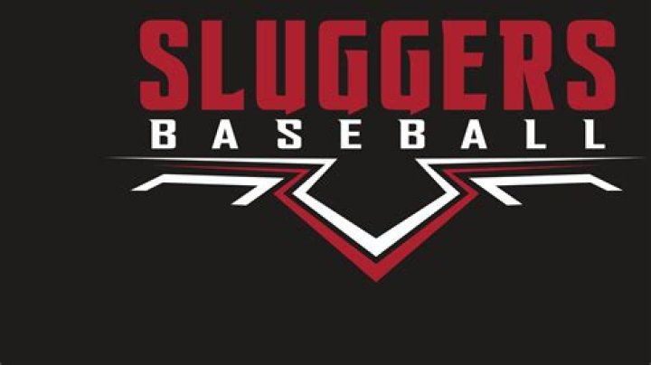 Baseball slugger's stat: Abbr.