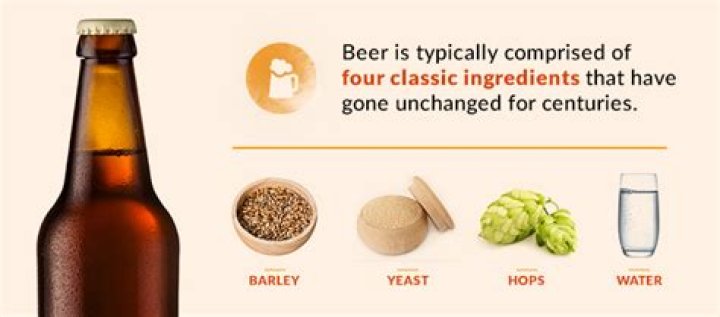 Basic ingredient in beer (along with water barley and hops)