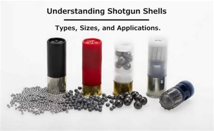 BBs and shotgun shells for short