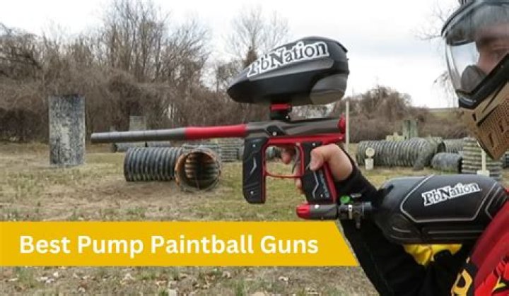 BBs or paintballs for example