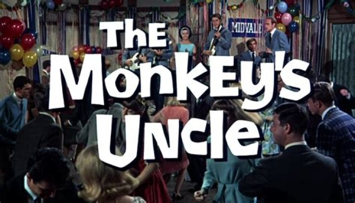 ___ be a monkey's uncle!