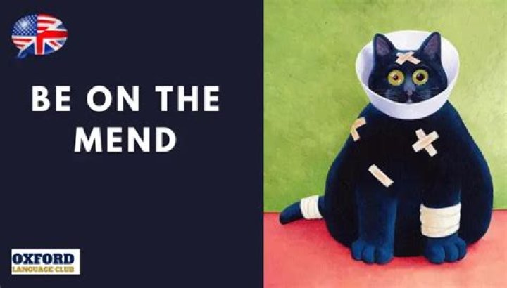 Be on the mend Crossword Clue