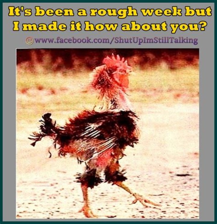 ___ been a rough week