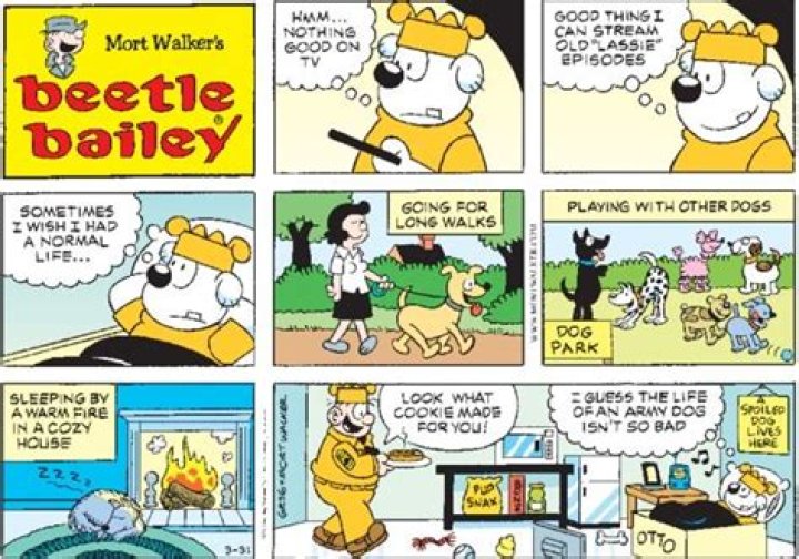 Beetle Bailey dog