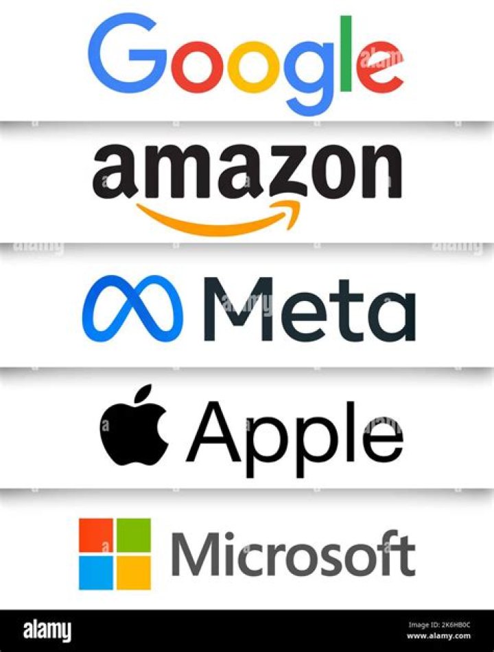 Big ___ (collective term for Amazon Apple Google Facebook and Microsoft)