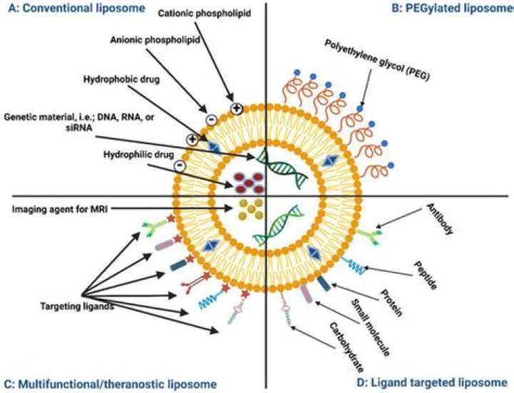 Bills that might be inserted into snack machines