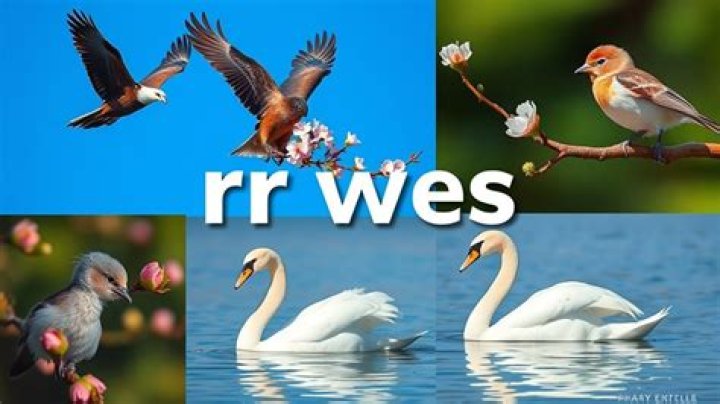 Bird related prefix
