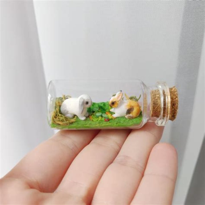 ___-bitsy (very small)