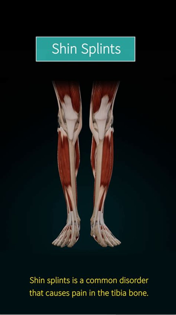 Body part between the shin and the foot