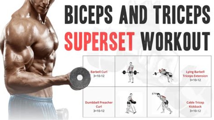 Body part with the biceps and triceps
