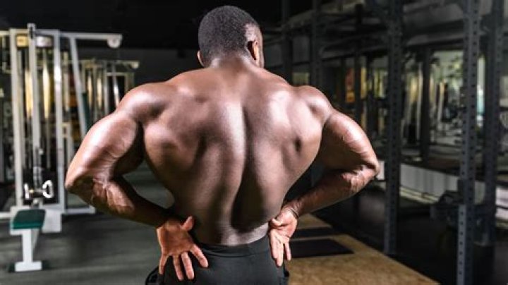 Bodybuilder's back muscle
