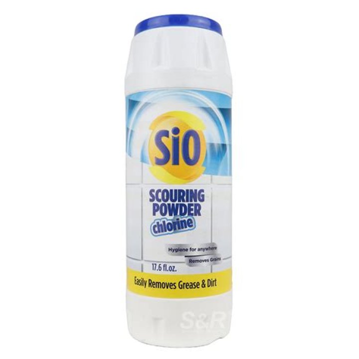 Bon ___ (brand of scouring powder)