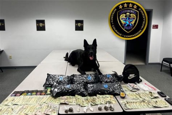 ___ boy! (Great job!)