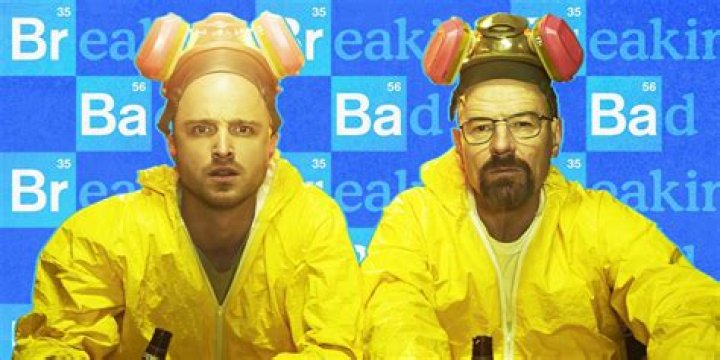 Breaking Bad costar ___ Paul