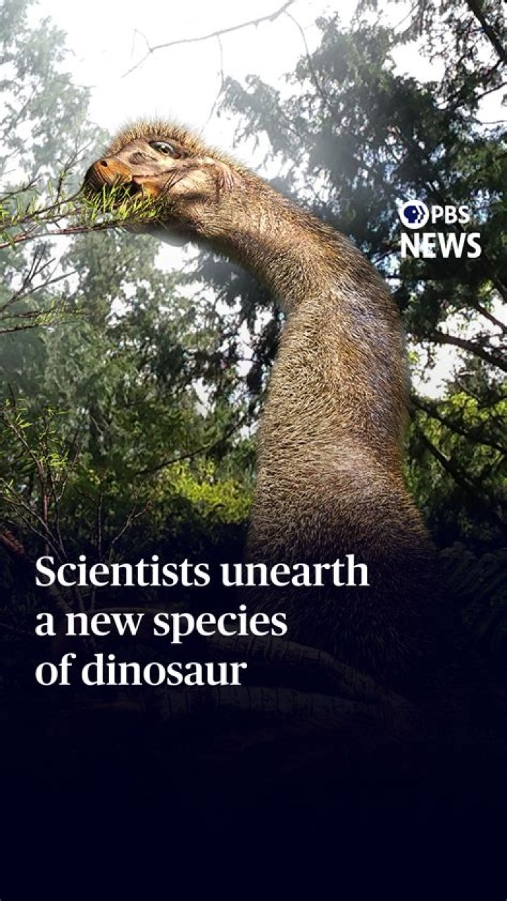 Briefly popular image or saying on the Internet