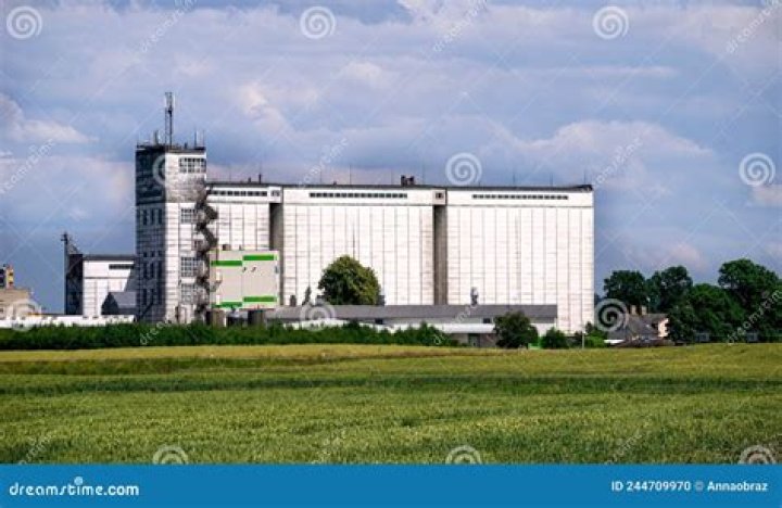 Building for storing grain