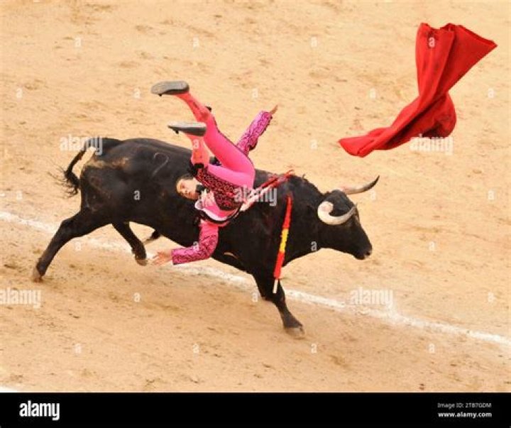 Bullfighter