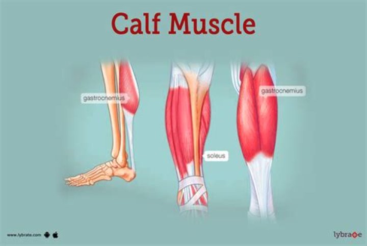 Calf's call
