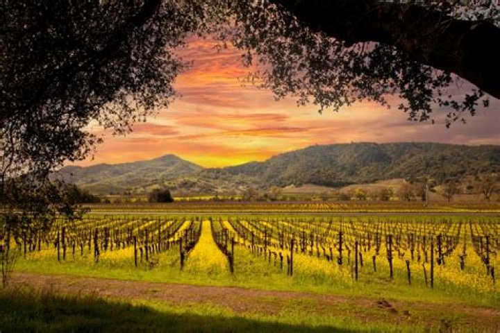 California valley known for its wines