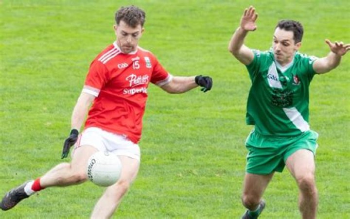 Call a halt to Crossword Clue