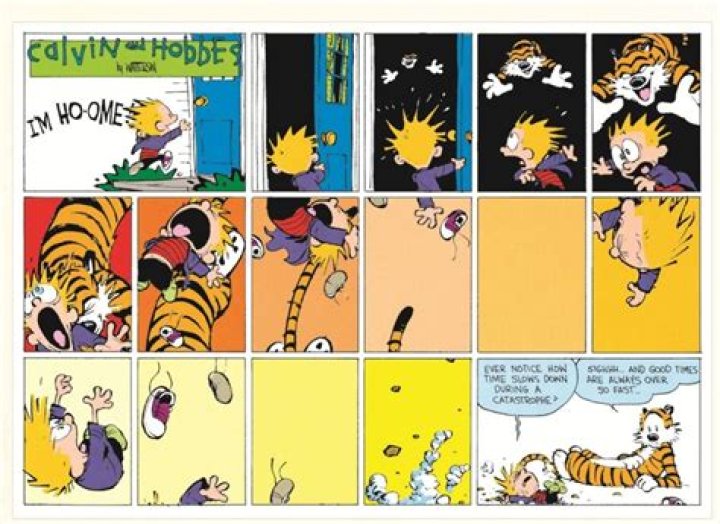 Calvin's tiger friend in the comics
